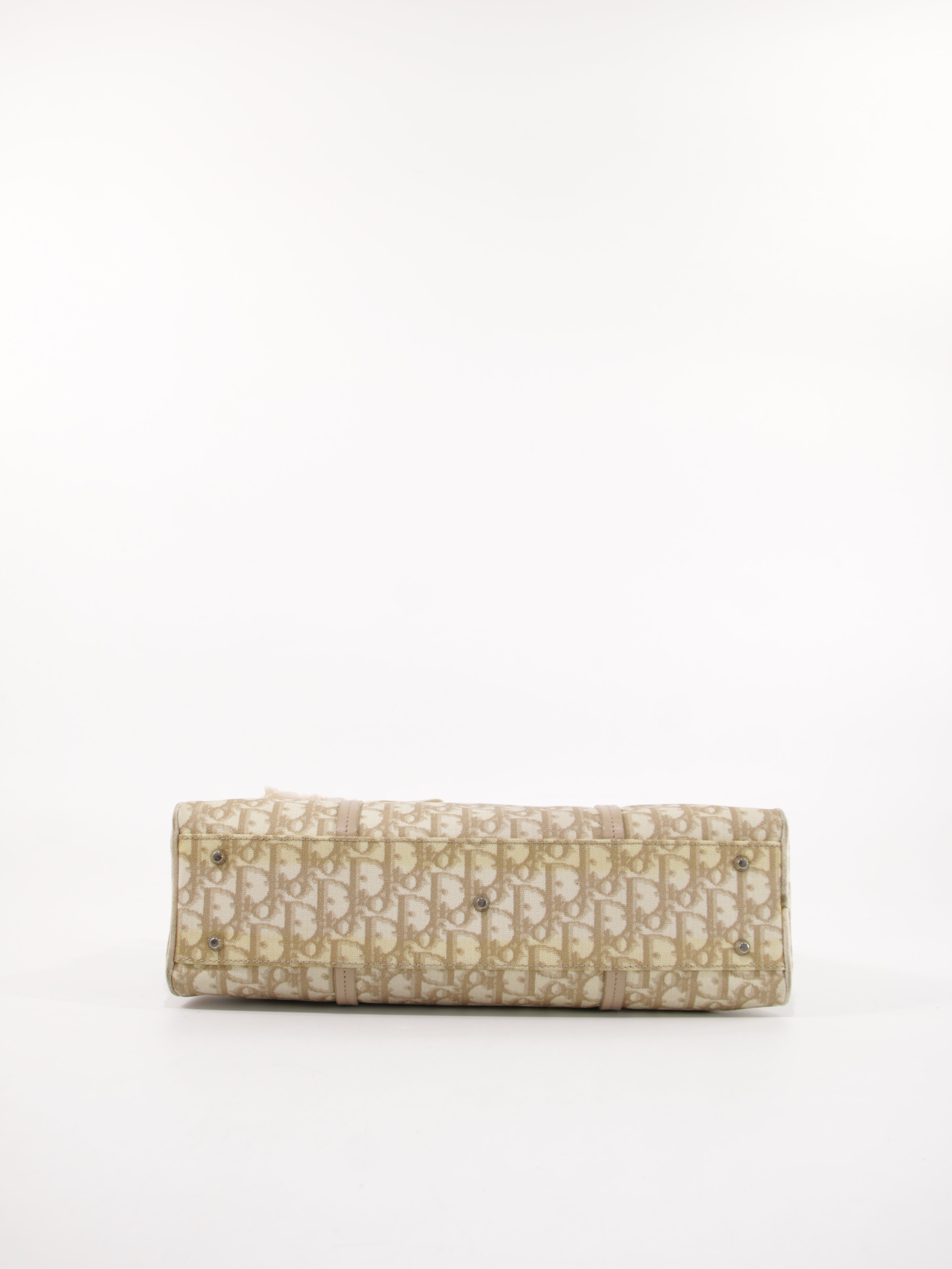 Christian Dior Shoulder Bag