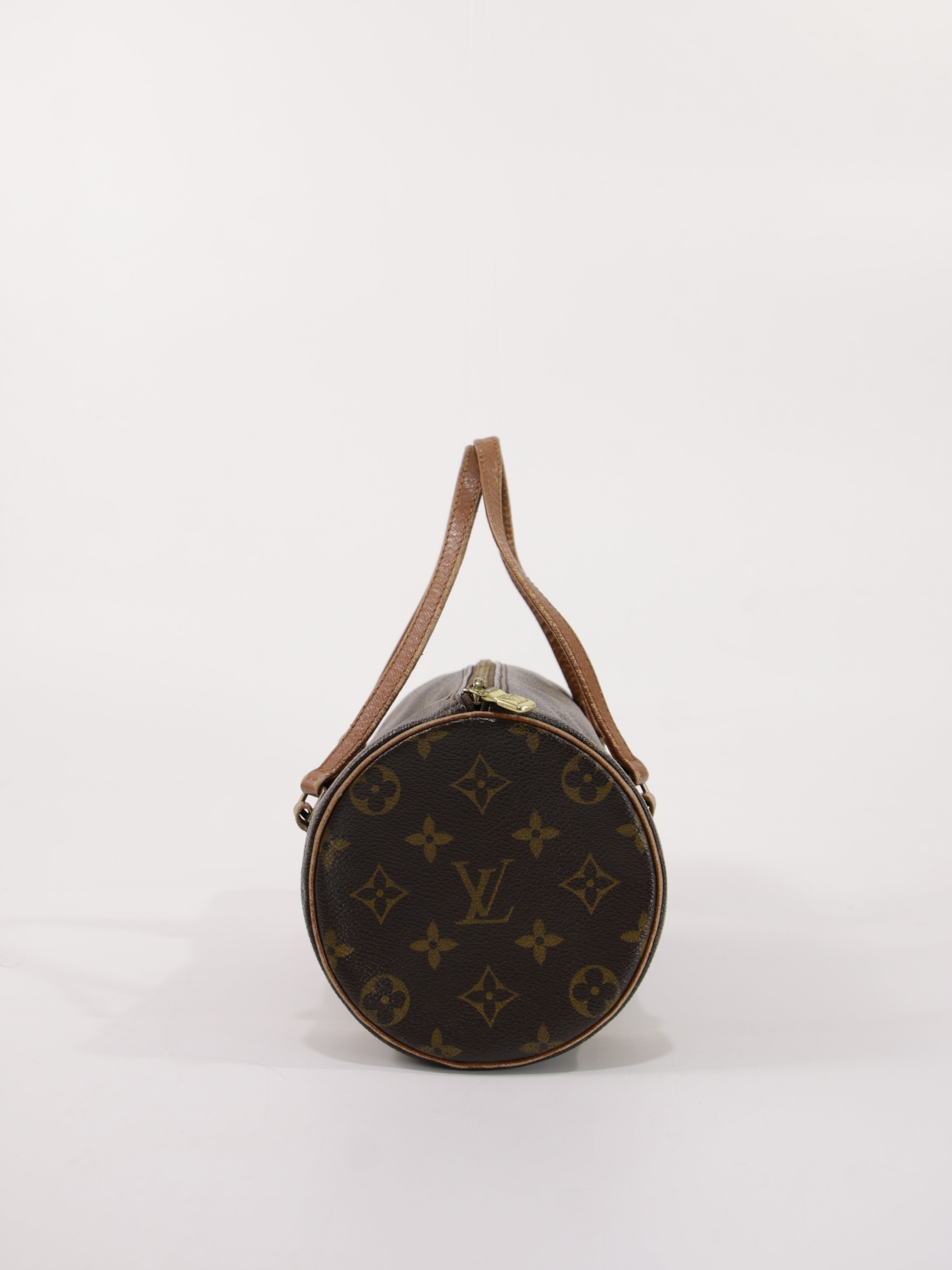 Papillon 26