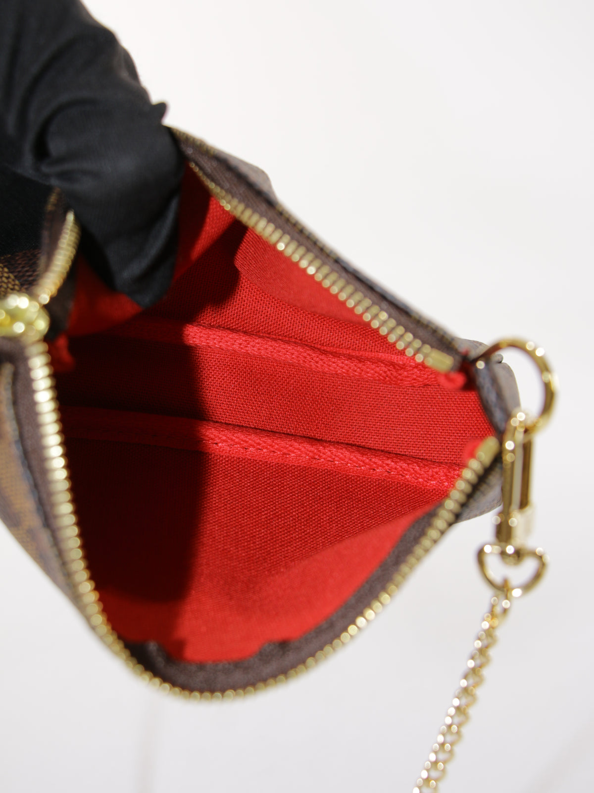 Louis Vuitton Mini Accessories Pochette