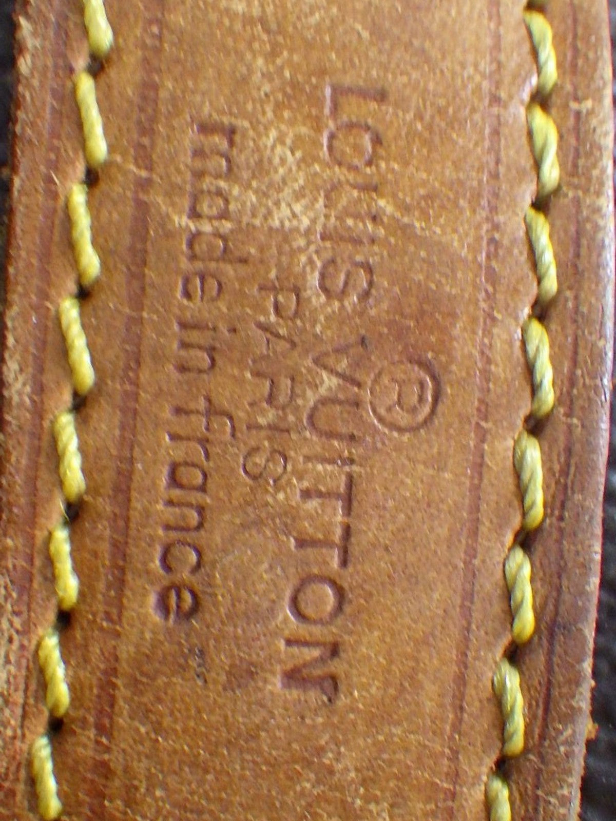 Petit Noé