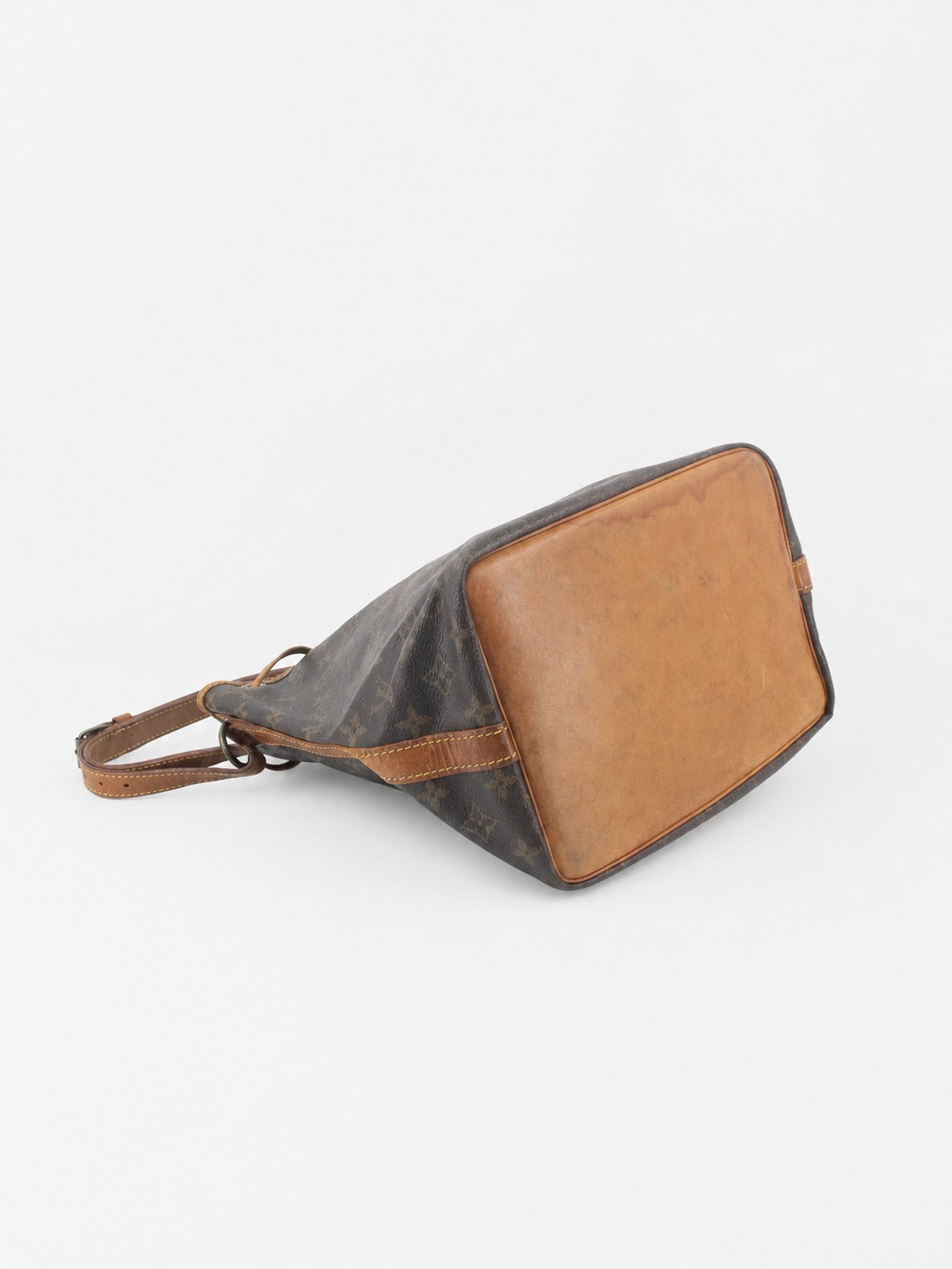 Petit Noé
