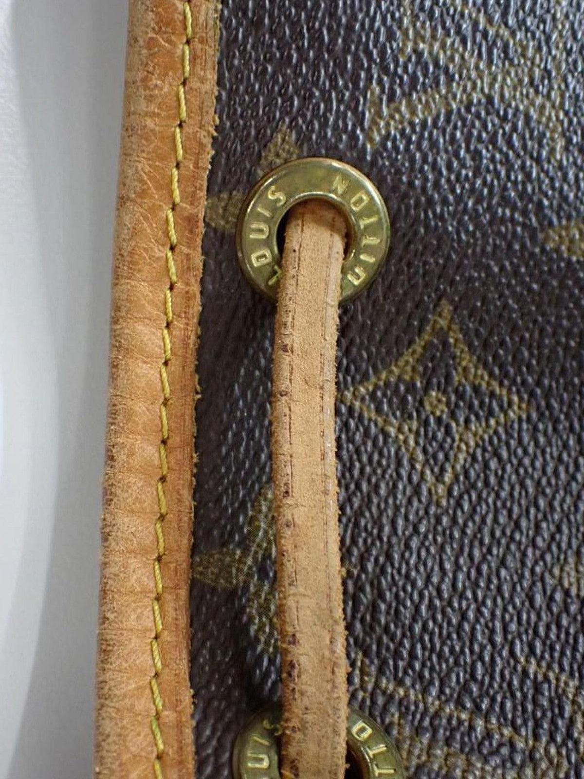 Petit Noé
