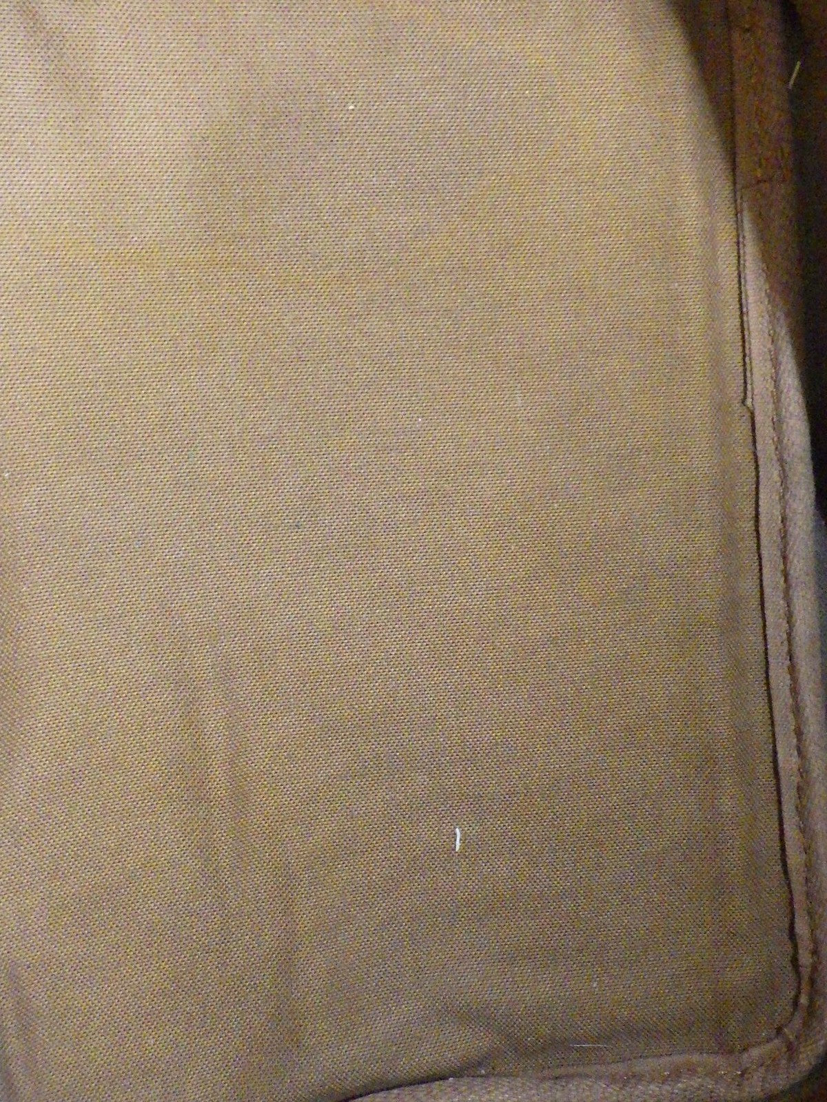 Petit Noé