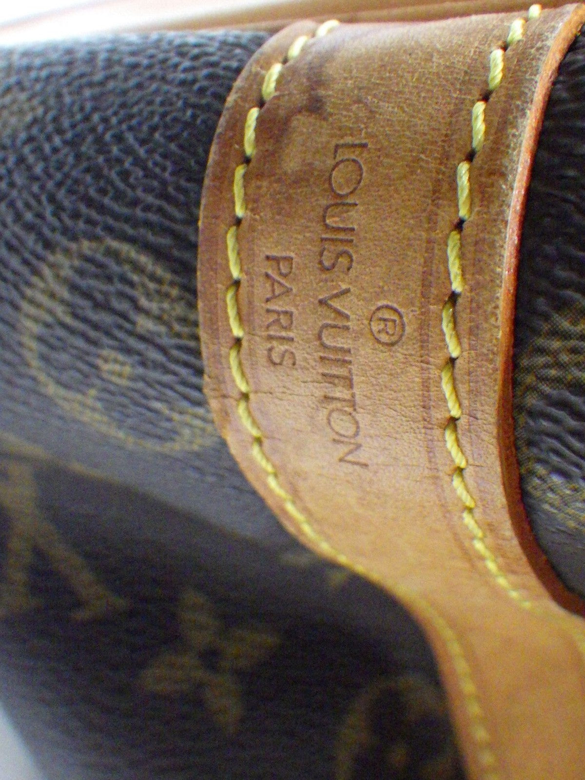 Petit Noé