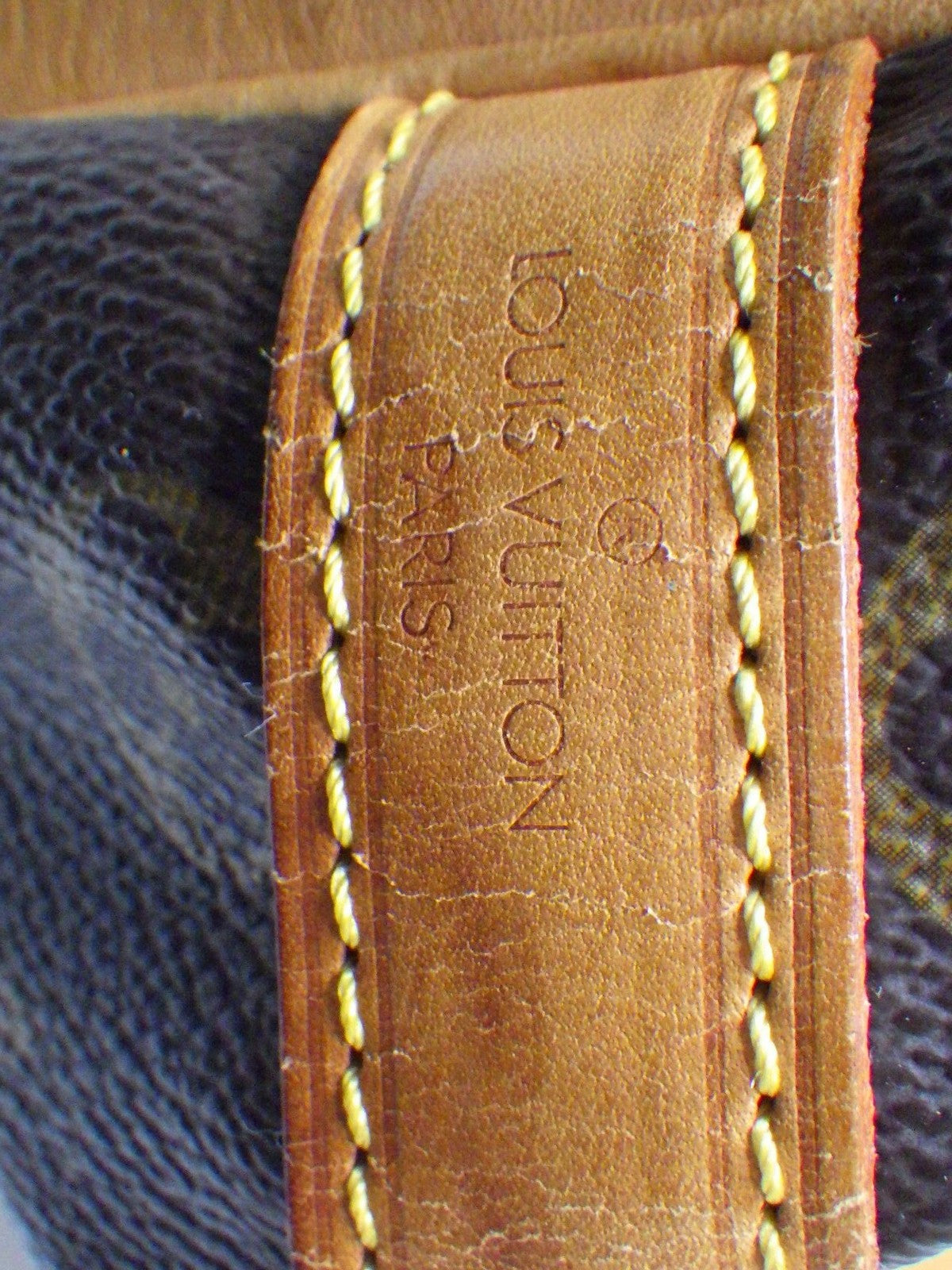 Petit Noé