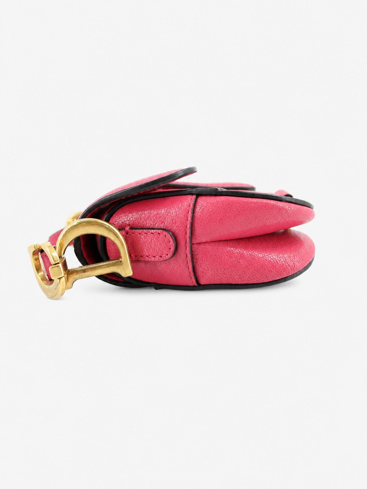 Christian Dior Micro Saddle