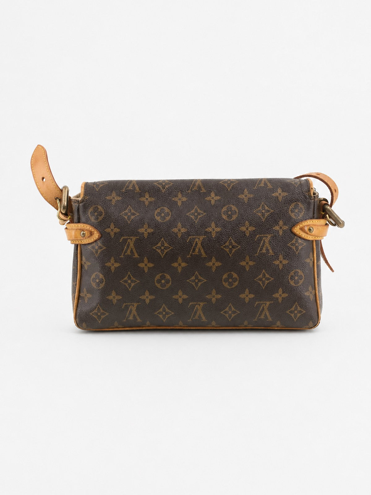Louis Vuitton Hudson PM