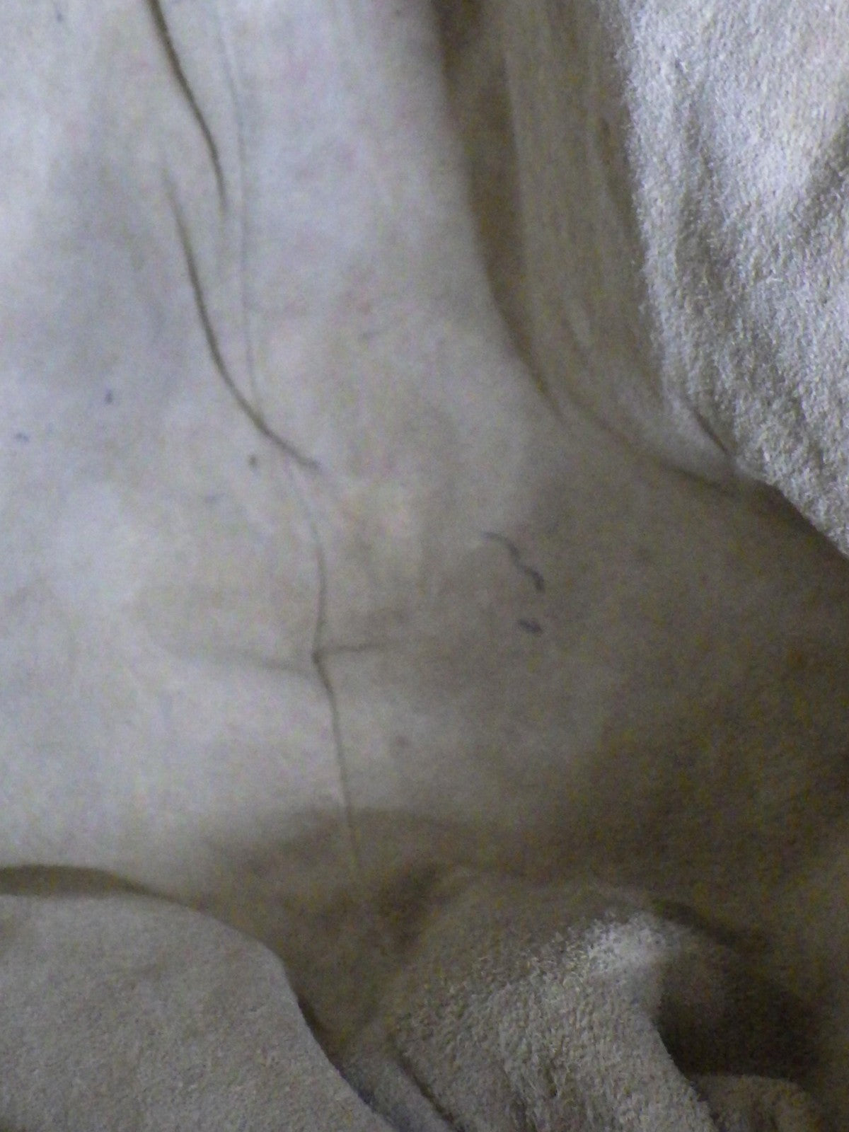 Bottega Veneta Medium Hobo