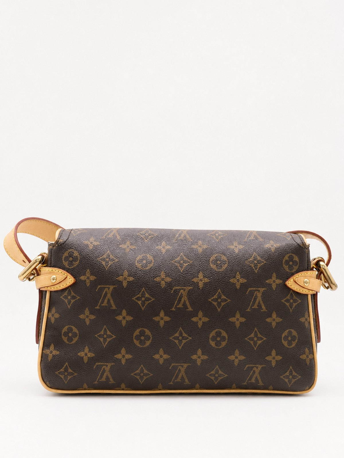 Louis Vuitton Hudson PM