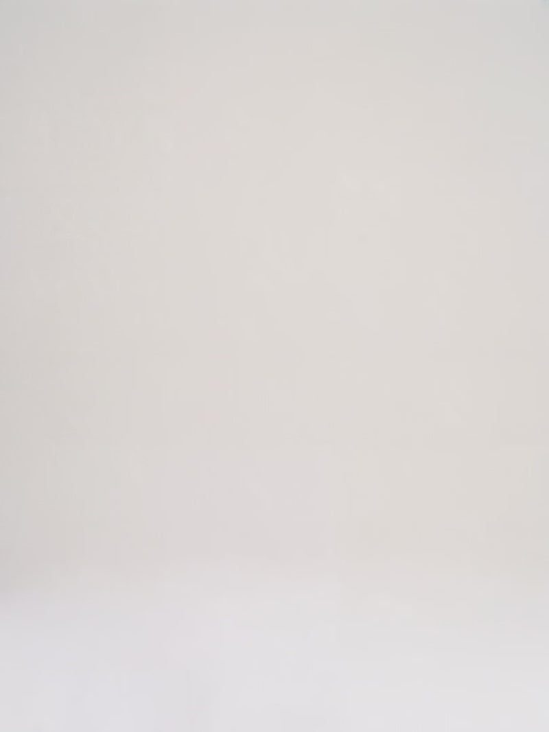 Bottega Veneta Medium Hobo White Leather